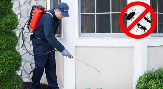 Şalpazarı Kene İlaçlama böcek ilaçlama ve haşere kontrolü — ilaclama-tr.com
